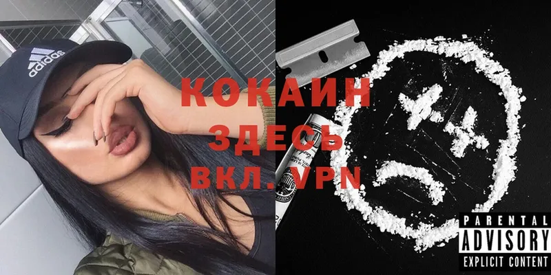 Cocaine FishScale  hydra онион  Зеленоградск 